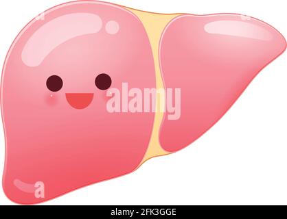 Cartoon Leber isoliert weißen Hintergrund - gute Gesundheit Konzept Stock Vektor