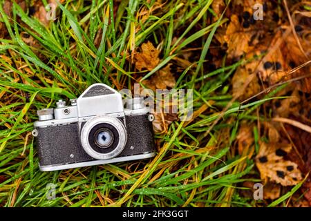 Alte Filmkamera, die auf einem grünen Gras in einem tiefen Wald liegt, natürlicher Hintergrund. Horizontales Nahaufnahme Stockfoto