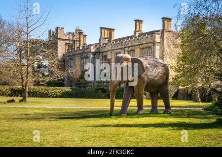 Elephant Family in Sudeley Castle Gloucestershire vor dem Beitritt zu 100 In London Parks Stockfoto