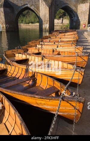 Durham, County Durham, England. Ruderboote, die Seite an Seite auf dem Fluss liegen, liegen über der Elvet Bridge. Stockfoto