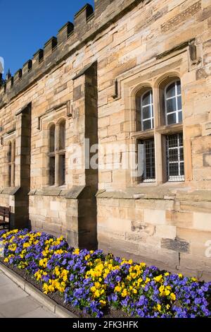 Durham, County Durham, England. Sonnendurchflutete Ostfront der Universitätsbibliothek aus dem 17. Jahrhundert, Palace Green. Stockfoto