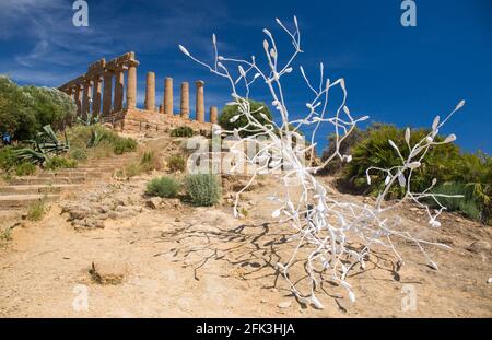 Agrigento, Sizilien, Italien. 'Ramo con boccioli', eine Skulptur aus Gips und Holz von Giuseppe Agnello, Tal der Tempel. Stockfoto