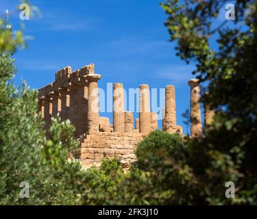 Agrigento, Sizilien, Italien. Blick durch grünes Laub zum Tempel von Hera, Tal der Tempel. Stockfoto