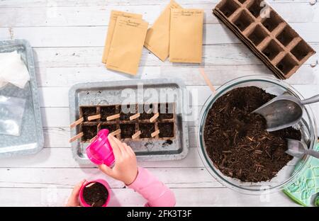 Flaches Lay. Pflanzen von Samen in Torfmoostöpfe, um einen Gemüsegarten in der Halle zu beginnen. Stockfoto
