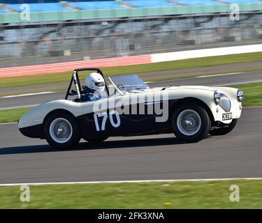 Matthew Collings, Austin Healey 100M, FISCar Historic 50s, Hawthorn Trophy Cars, Hawthorn International und Tom Cole Trophies Rennen für den Sport der 1950er Jahre Stockfoto