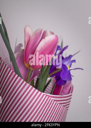 Bouquet von Frühlingsblumen. Rosa Tulpen und Iris. Geschenk für eine Frau Stockfoto