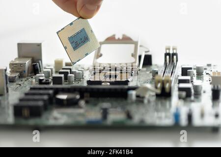Die menschliche Hand installiert den Prozessor auf der Hauptplatine. Stockfoto