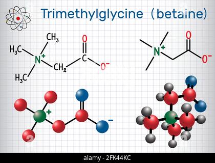 Trimethylglycin (TMG, Betain, Glycin Betain) wird in Zuckerrüben gefunden. Strukturelle chemische Formel und Molekülmodell. Blatt Papier in einem Käfig Stock Vektor