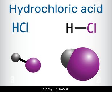 Salzsäure (Chlorwasserstoff) Molekül . Es ist eine korrosive, starke Mineralsäure. Strukturelle chemische Formel und Molekülmodell Stock Vektor