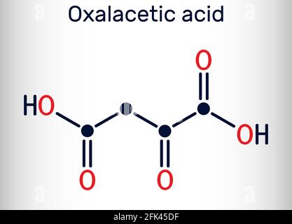 Oxalessigsäure, Oxalessigsäure, OAA, Oxalacetat-Molekül. Es ist Oxodicarbonsäure, metabolisches Zwischenprodukt. Chemische Formel des Skeletts. Vektor Stock Vektor