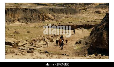 Weihnachten APPEALSenden Sie eine Kuh--- die vernarbte raue Landschaft in Lesotho. Wo niedrige Niederschläge und schwere Erosion macht Anbau von Pflanzen oder Fütterung einer Familie eine kontinuierliche bergauf kämpfen. Foto von David Sandison November 2004 Stockfoto