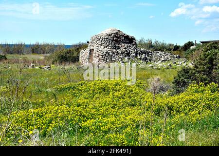 Landschaft in Salento, Italien Stockfoto