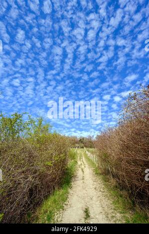 North Downs in der Nähe von Otford in Kent, Großbritannien. Malerischer Blick auf die englische Landschaft mit blauem Himmel und weißen Wolken. Otford liegt am North Downs Way. Stockfoto