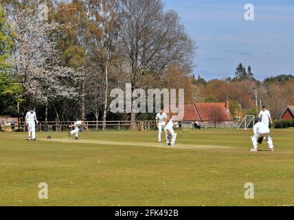 Cricketspieler in Aktion bei einem englischen Cricket-Spiel auf dem Dorfgrün Stockfoto