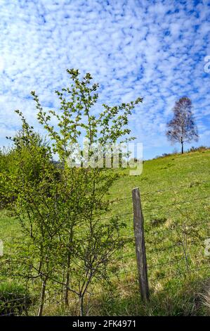 North Downs in der Nähe von Otford in Kent, Großbritannien. Malerischer Blick auf die englische Landschaft mit blauem Himmel und weißen Wolken. Otford liegt am North Downs Way. Stockfoto