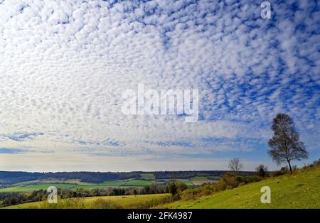 North Downs in der Nähe von Otford in Kent, Großbritannien. Malerischer Blick auf die englische Landschaft mit blauem Himmel und weißen Wolken. Otford liegt am North Downs Way. Stockfoto