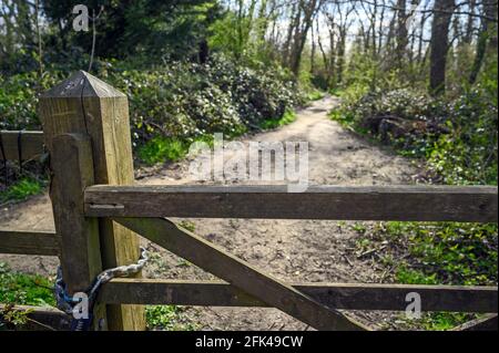 Teil des North Downs Way in der Nähe von Otford in Kent, Großbritannien. Tor und Feldweg im Wald. Otford liegt an den North Downs. Stockfoto