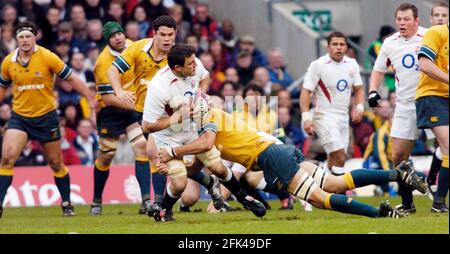 ENGLAND GEGEN AUSTRALIEN IN TWICKENHAM 27/11/2004 BILD DAVID ASHDOWNRUGBY ENGLAND Stockfoto