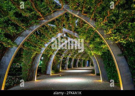 Brisbane Arbour Walk in den malerischen Parks der Southbank Stockfoto