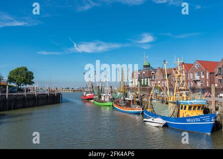 Krabbenschneider im Fischereihafen, Neuharlingersiel, Niedersachsen, Deutschland, Europa Stockfoto