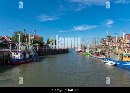 Krabbenschneider im Fischereihafen, Neuharlingersiel, Niedersachsen, Deutschland, Europa Stockfoto