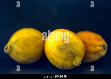 Obst : Citrus Boost Stockfoto