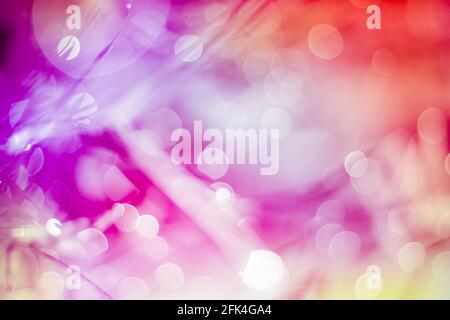 Defokussierte Bokeh, funkelnde Lichter lebendige Farbe verschwommen Bokeh abstrakt Licht Frühling Wald Hintergrund. Natürliches Bokeh vom Blattbaum. Verwacklungsfreie Bilder. Stockfoto