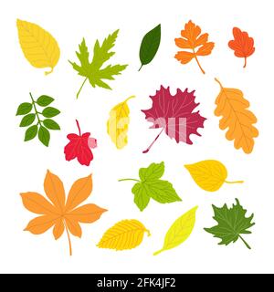 Herbst Blätter einfache Vektor minimalistisches Konzept flache Stil Illustration, mehrfarbige handgezeichnete natürliche florale Elemente Set, Element für Einladungen, Grußkarten, Booklet, Herbst Urlaub Dekor Stock Vektor