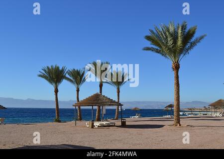 Jordan Strand mit Palmen, Betten und Cabanas. Mit einem wunderschönen blauen Meer. Stockfoto