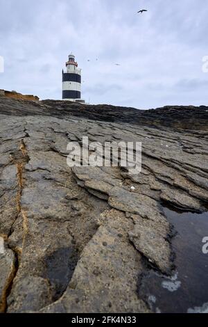 Große Risse in Felsen mit dem Hook Leuchtturm am unteren Rand in Wexford, Irland. Stockfoto