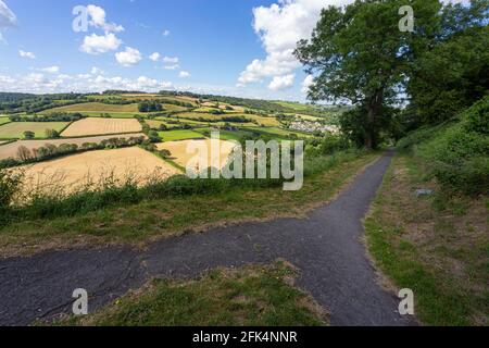 Sommer Blick vom Castle Hill, Wanderweg Blick auf die torridge Tal, Taddiport und Felder, Great Torrington, Devon, England. Stockfoto