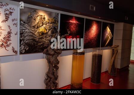 Logroño, Spanien: 2021. April 26: Innenraum der Bodegas Riojanas Winery am bewölkten Tag in der Stadt Cenicero in Spanien. Stockfoto