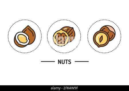 NUTS-Farblinien-Symbole Konzept. Isoliertes Vektorelement. Skizzieren Sie Piktogramme für Webseite, mobile App, Werbung Stock Vektor