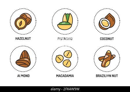 Symbole für die Farblinien von Nüssen und Samen sind gesetzt. Isoliertes Vektorelement. Skizzieren Sie Piktogramme für Webseite, mobile App, Werbung Stock Vektor