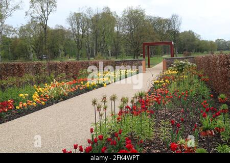 RHS Bridgewater - neuer Garten Stockfoto