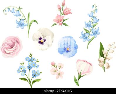 Vektor-Set aus rosa, blauen und weißen Stiefmütterchen, Lisianthus-Blumen, Bluebells, Maiglöckchen und Vergissmeinnicht-Blumen isoliert auf einem weißen Rücken Stock Vektor