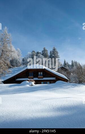 Schweiz, Waadt, Waadt, hiver, Winter, neige, Schnee, Snow, les Hauts de Caux, Montreux, Maisons, Häuser, Häuser, Chalet *** Ortsüberschrift *** Swit Stockfoto