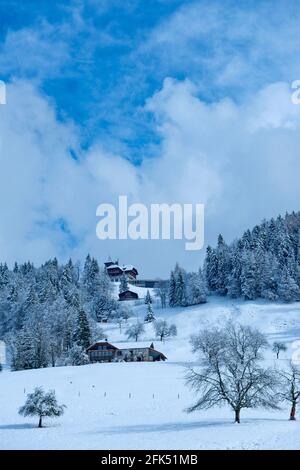 Schweiz, Waadt, Waadt, hiver, Winter, neige, Schnee, Souloup, Vallon de Villard, montagnes, Berge, Berge, Maisons, Häuser, Häuser *** Loc Stockfoto