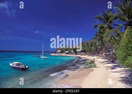 Nordamerika, Westindien, kleine Antillen, Karibik, Insel in St. Vincent und den Grenadinen, Mustique, Stockfoto