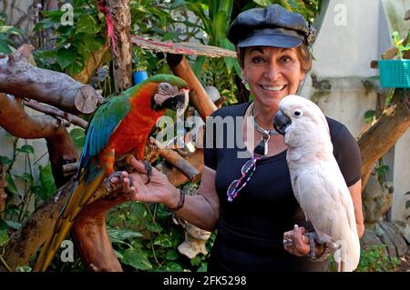Scarlet Ara (Ara Macao) und Künstler Jan D'Esopo, The Gallery Inn, Old San Juan, Puerto Rico, Karibik Stockfoto