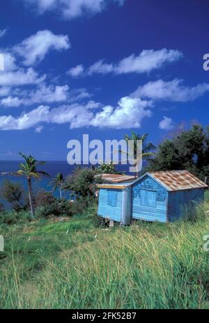 Nordamerika, Westindien, kleine Antillen, Karibik, St. Kitts und Nevis, Heimat an der Küste Stockfoto