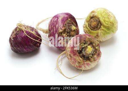 peruanische Superfood Maca isoliert auf weißem Hintergrund Stockfoto