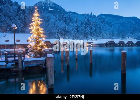 Der leuchtende Christbaum an der Seelande am Königssee in der Schönau mit den Bootshütten im Hintergrund - Berchtesgadener Land Stockfoto