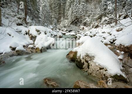 Der wildromantische Ramsaubach im Zauberwald bei Ramsau im Berchtesgadener Land Im tiefverschneiten Winter Stockfoto