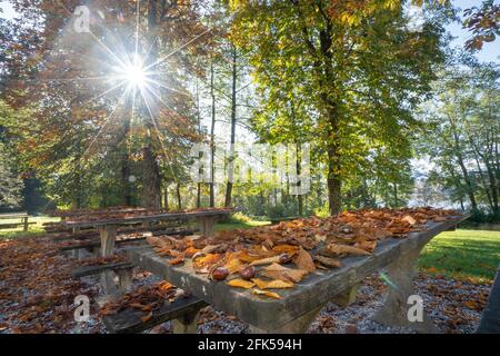 Am herbstlichen Abtsdorfer See im Rupertiwinkel - Berchtesgadener Land die Sitzgarnituren mit dem herbstlichen Laub Stockfoto