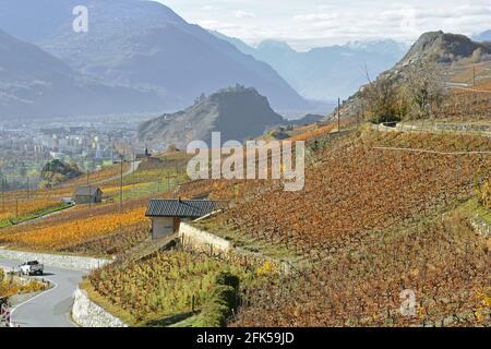 Die südschweizerische Stadt und Hauptstadt des Wallis, Sion im Herbst mit Weinbergen und Schlössern Stockfoto