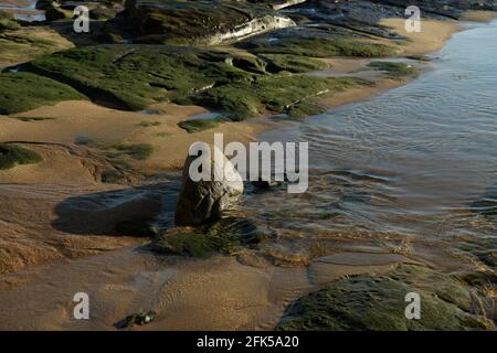 Hintergründe, Schönheit in der Natur, Nahaufnahme des Wassers im Gezeitenbecken, Grunge, Stillleben an der Küste, Felsabstrakt, Strand Umhlanga Rocks, Südafrika Stockfoto