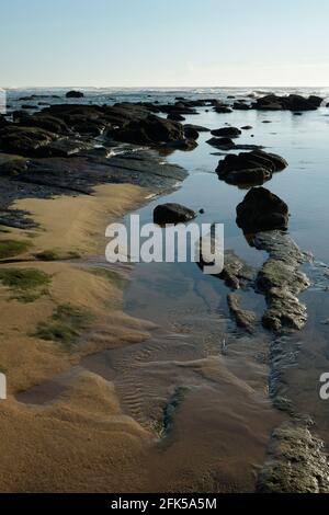 Schönheit in der Natur, Meeresspiegel bei Ebbe, Gezeitenbecken, Umhlanga Rocks Strand, Durban, Südafrika, Meeresbiologie, Küstengebiet, wunderschöne Landschaft Stockfoto