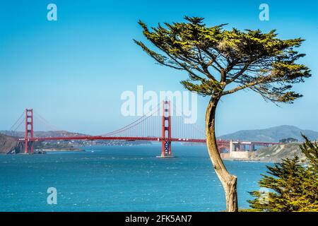 Die Golden Gate Bridge und die Bucht von San Francisco, vom Lands End aus gesehen Stockfoto