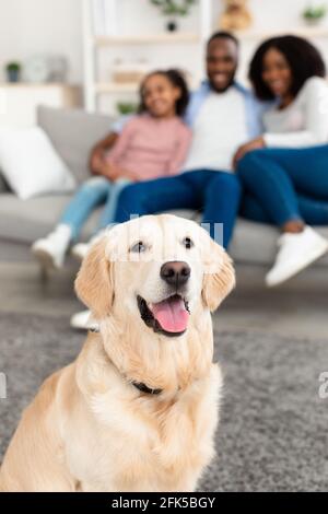 Glückliche schwarze Familie, die im Wohnzimmer mit Hund sitzt Stockfoto